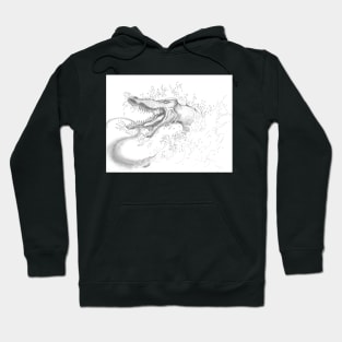 Barracuda Dragon Hoodie